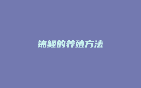 锦鲤的养殖方法