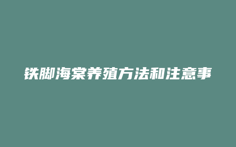 铁脚海棠养殖方法和注意事项