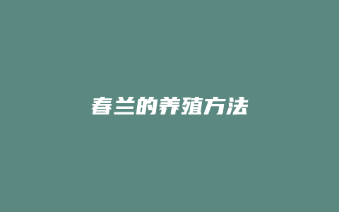 春兰的养殖方法