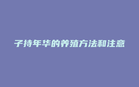 子持年华的养殖方法和注意事项