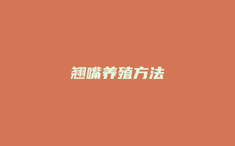 翘嘴养殖方法