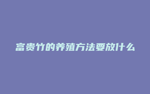 富贵竹的养殖方法要放什么肥