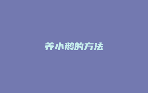 养小鹅的方法