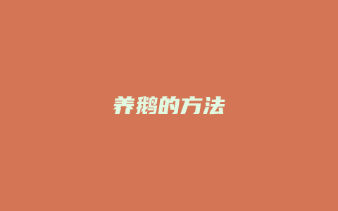 养鹅的方法