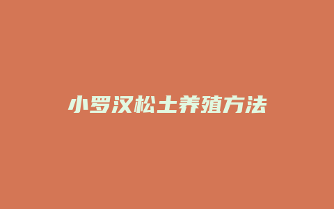 小罗汉松土养殖方法