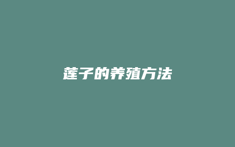 莲子的养殖方法