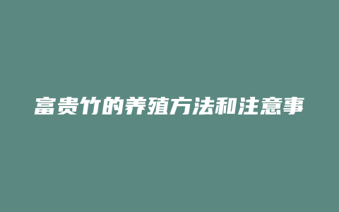 富贵竹的养殖方法和注意事项有哪些