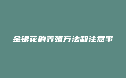 金银花的养殖方法和注意事项