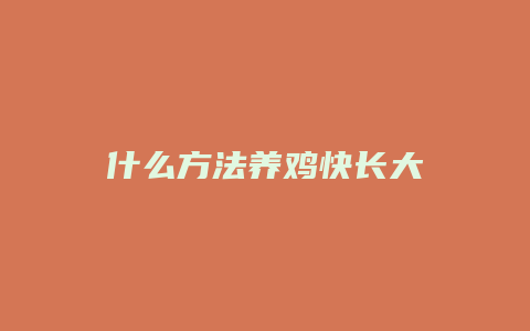 什么方法养鸡快长大