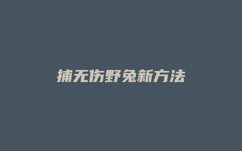 捕无伤野兔新方法