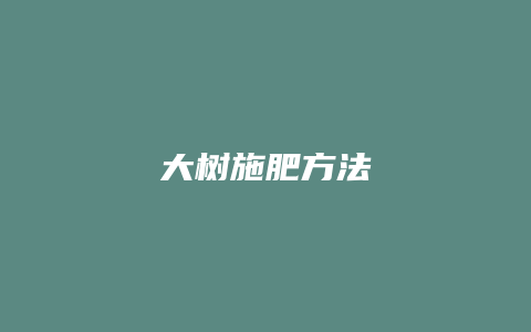 大树施肥方法