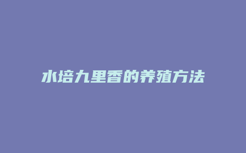 水培九里香的养殖方法