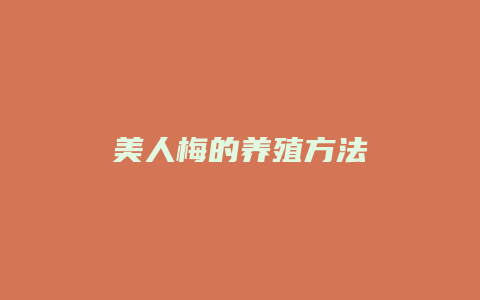 美人梅的养殖方法