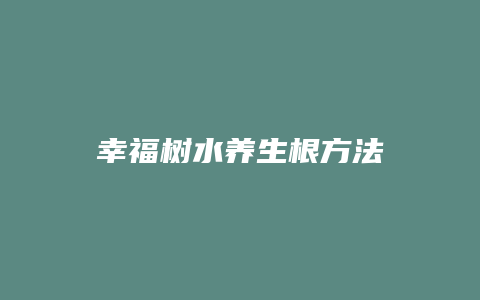 幸福树水养生根方法