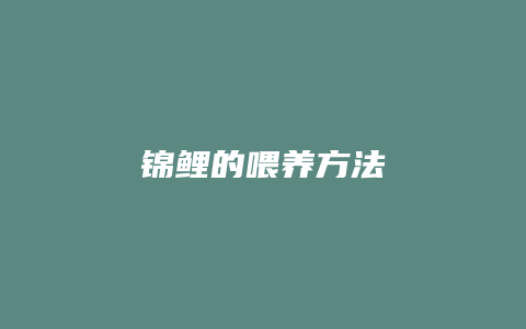 锦鲤的喂养方法