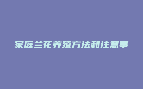 家庭兰花养殖方法和注意事项