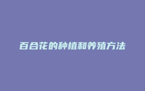 百合花的种植和养殖方法