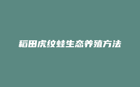 稻田虎纹蛙生态养殖方法