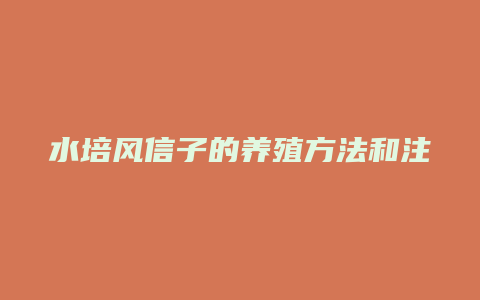 水培风信子的养殖方法和注意事项