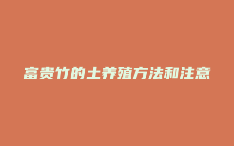 富贵竹的土养殖方法和注意事项