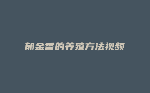 郁金香的养殖方法视频