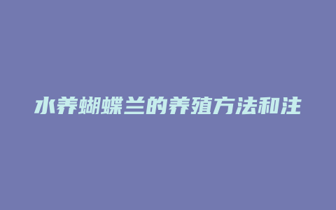 水养蝴蝶兰的养殖方法和注意事项