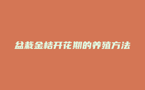 盆栽金桔开花期的养殖方法