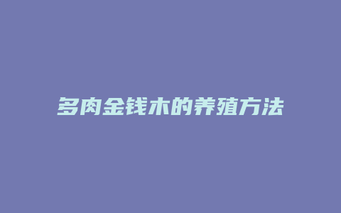 多肉金钱木的养殖方法