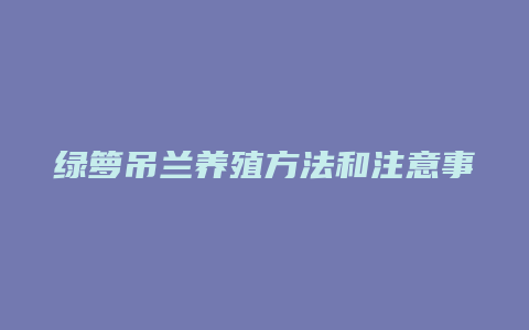 绿箩吊兰养殖方法和注意事项