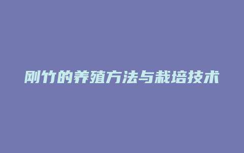 刚竹的养殖方法与栽培技术