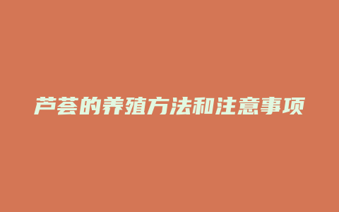 芦荟的养殖方法和注意事项