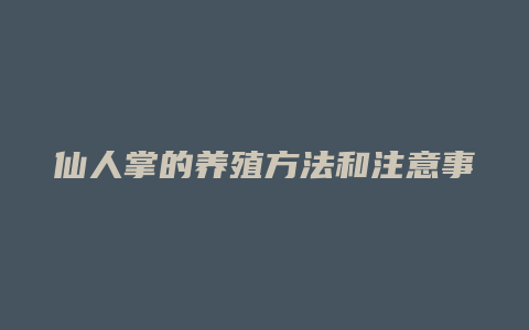 仙人掌的养殖方法和注意事项