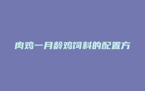 肉鸡一月龄鸡饲料的配置方法