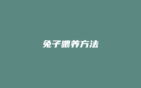 兔子喂养方法