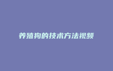 养殖狗的技术方法视频