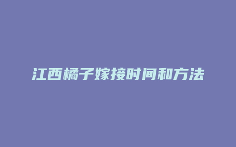 江西橘子嫁接时间和方法