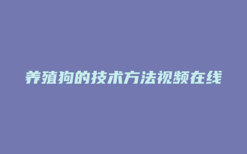 养殖狗的技术方法视频在线观看