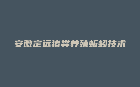 安徽定远猪粪养殖蚯蚓技术方法