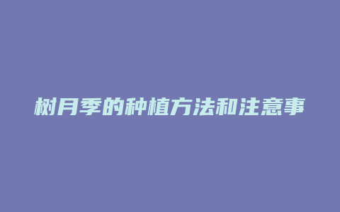 树月季的种植方法和注意事项