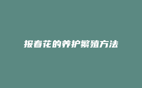 报春花的养护繁殖方法