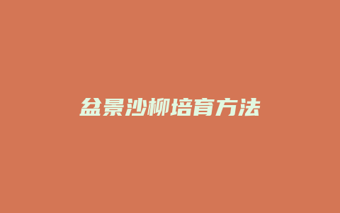 盆景沙柳培育方法