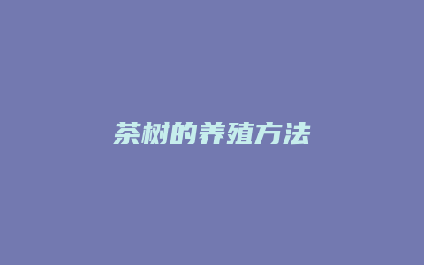 茶树的养殖方法