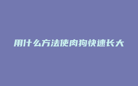 用什么方法使肉狗快速长大