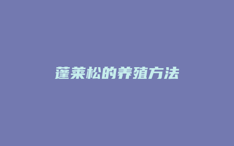 蓬莱松的养殖方法