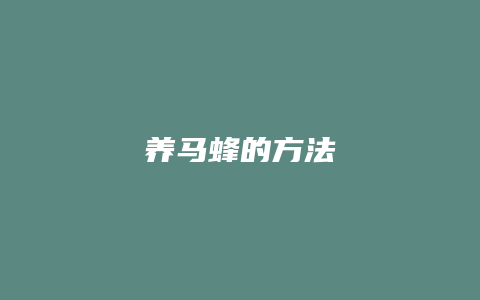 养马蜂的方法