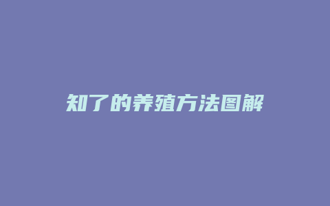 知了的养殖方法图解