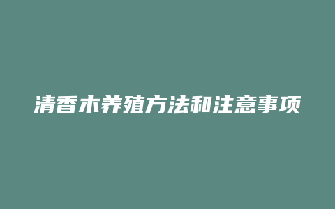 清香木养殖方法和注意事项