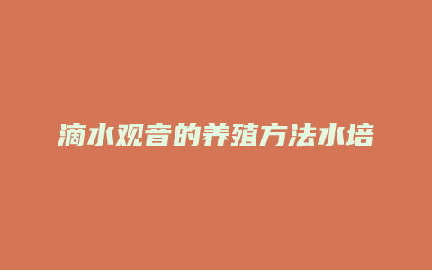 滴水观音的养殖方法水培