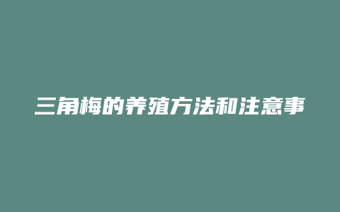 三角梅的养殖方法和注意事项