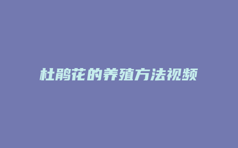 杜鹃花的养殖方法视频